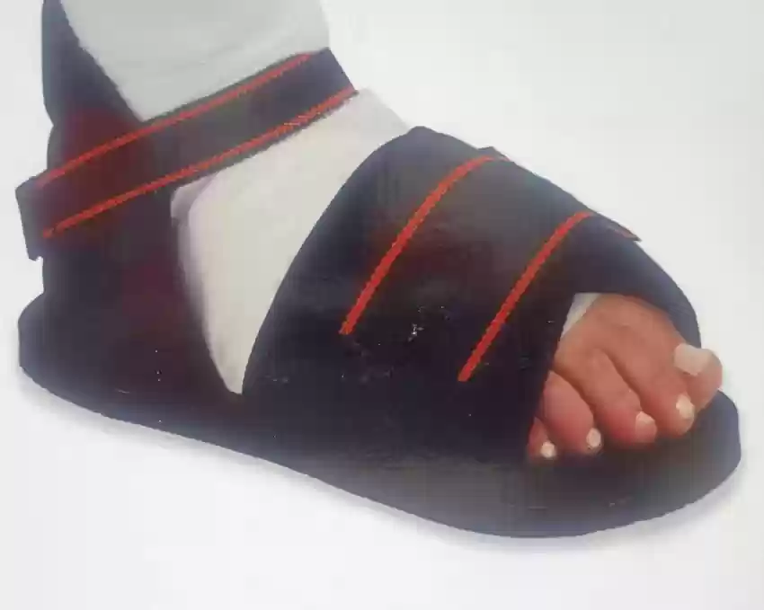 Flamingo Cast Shoe