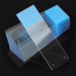 Glass slides microscope
